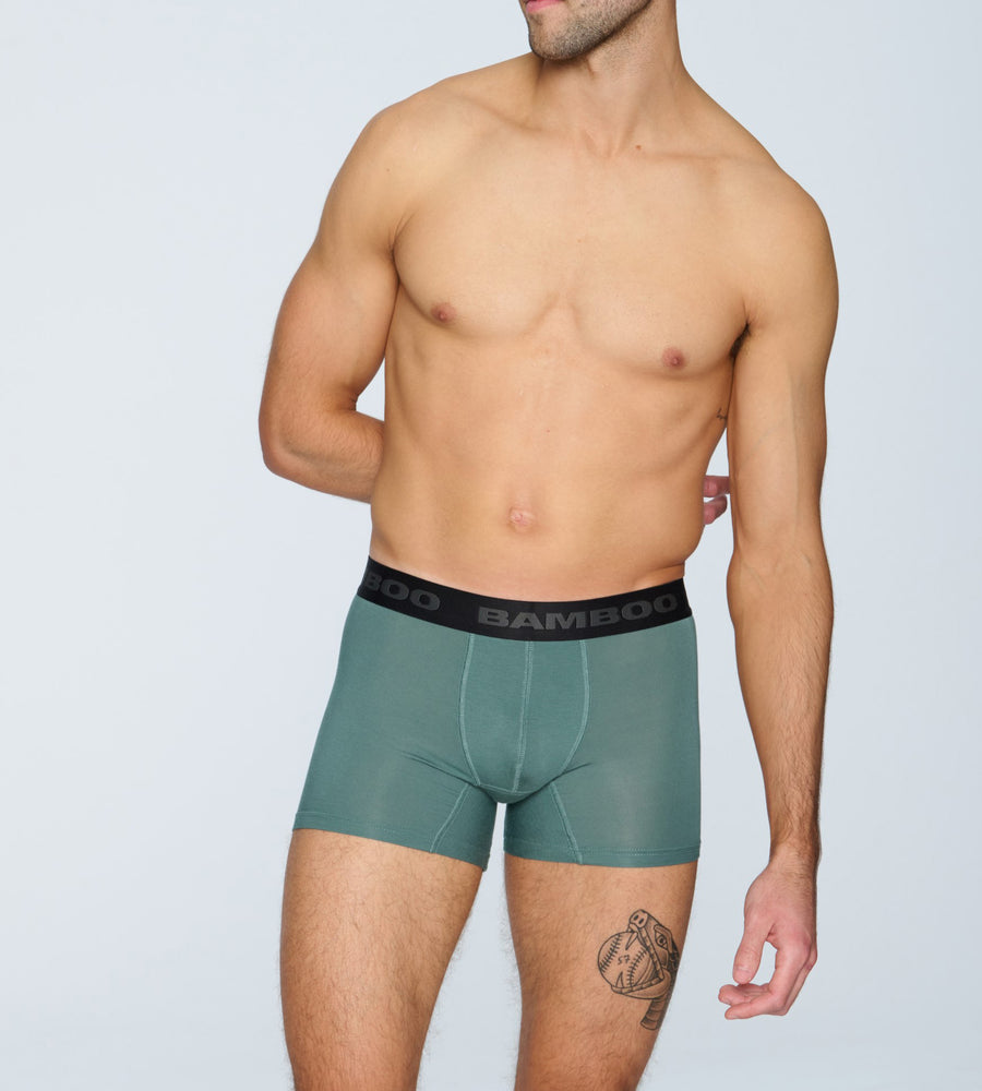 Mens Boxer Briefs Bamboo Underwear Soft Quick Dry Breathable