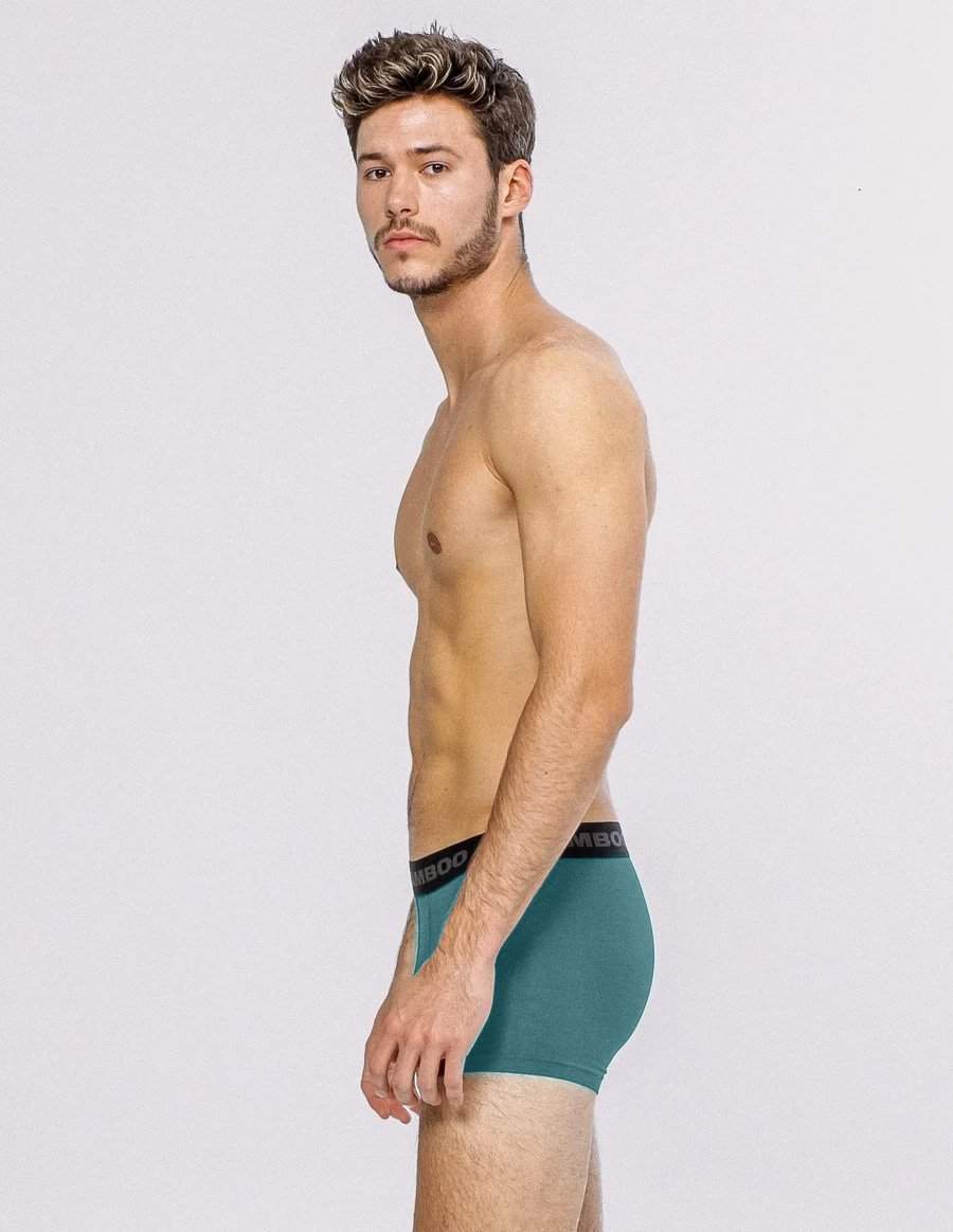 Bamboo Men's Briefs,Lightweight Underwear,Cooling Briefs for Men,M-XXL,4  Pack