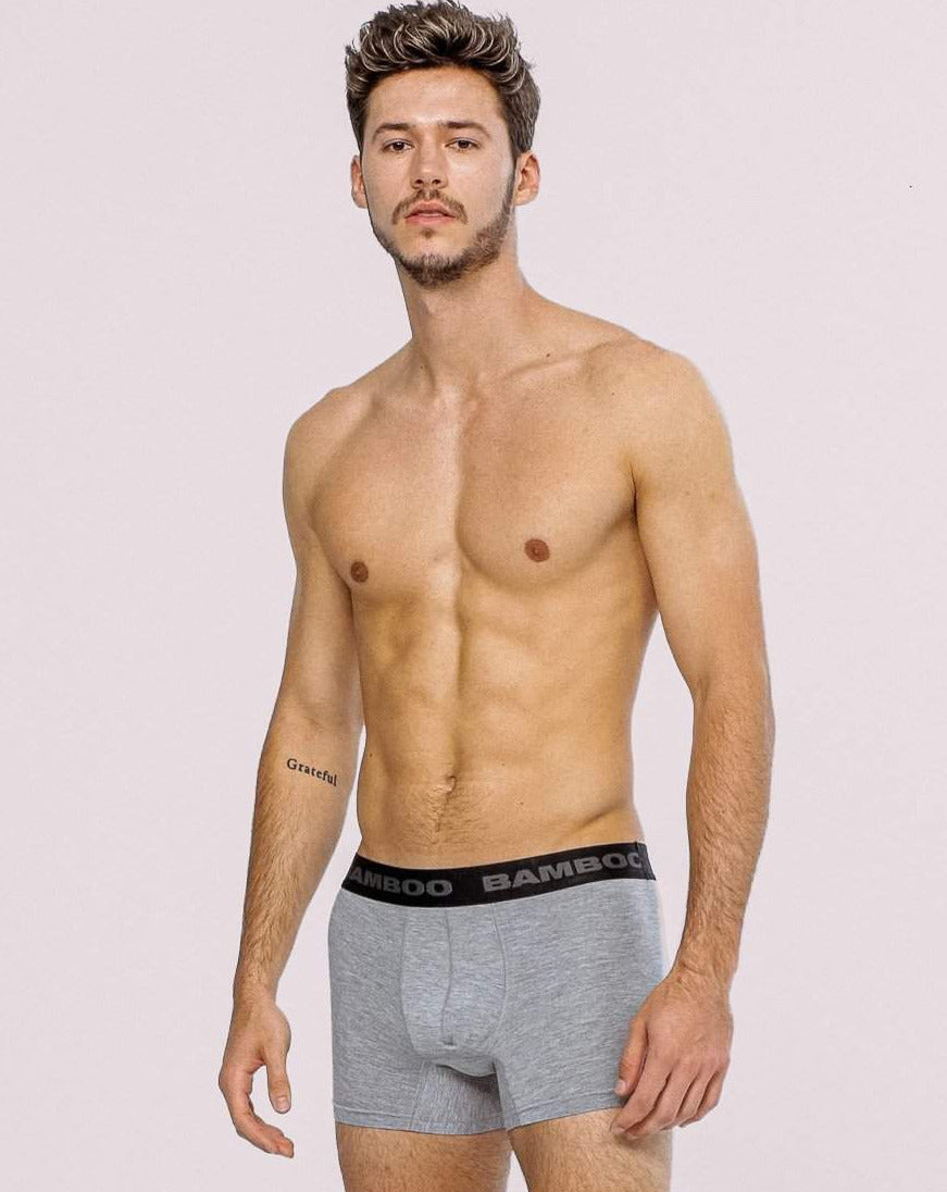 Bamboo Boxer Brief in Grey