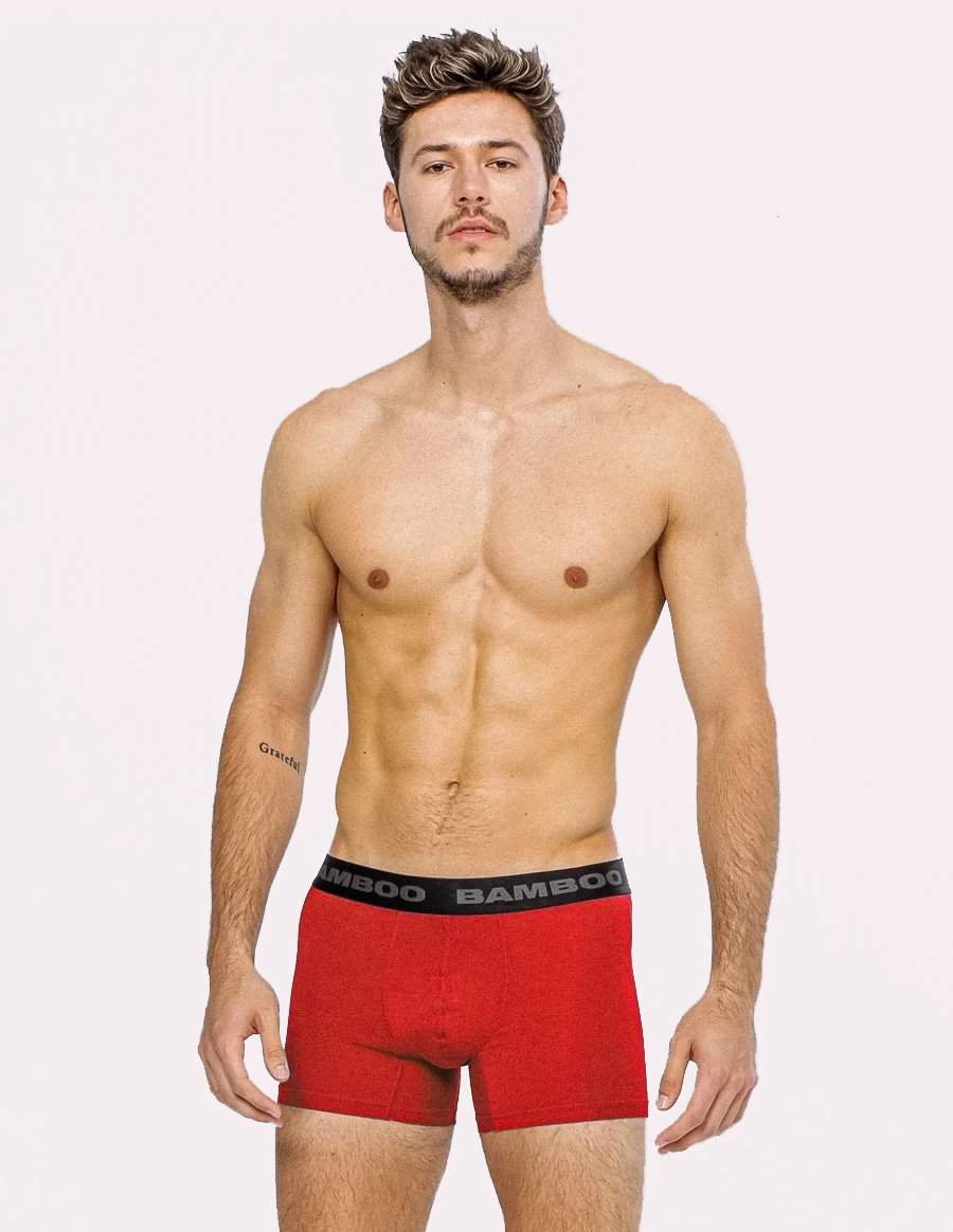 BAMBOO COOL Men's Underwear Performance Breathable Mesh Fly Zone Boxer  Briefs Moisture-Wicking 4 Pack(Medium) at  Men's Clothing store
